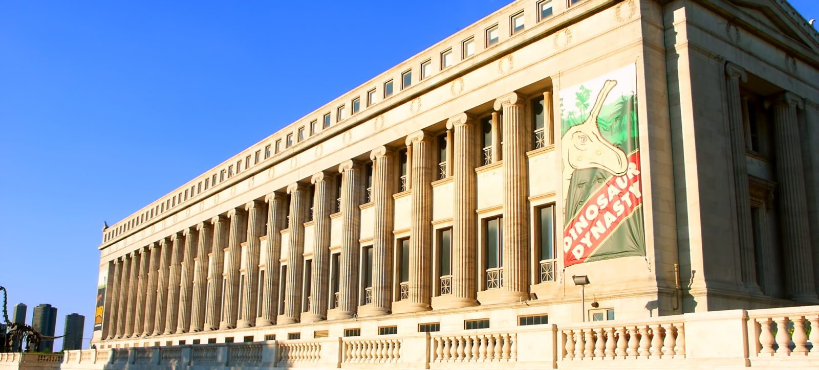 Le Field Museum de Chicago