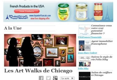La newsletter French District Chicago du Mercredi 4 Juin 2014 - L’art dans la ville a Chicago