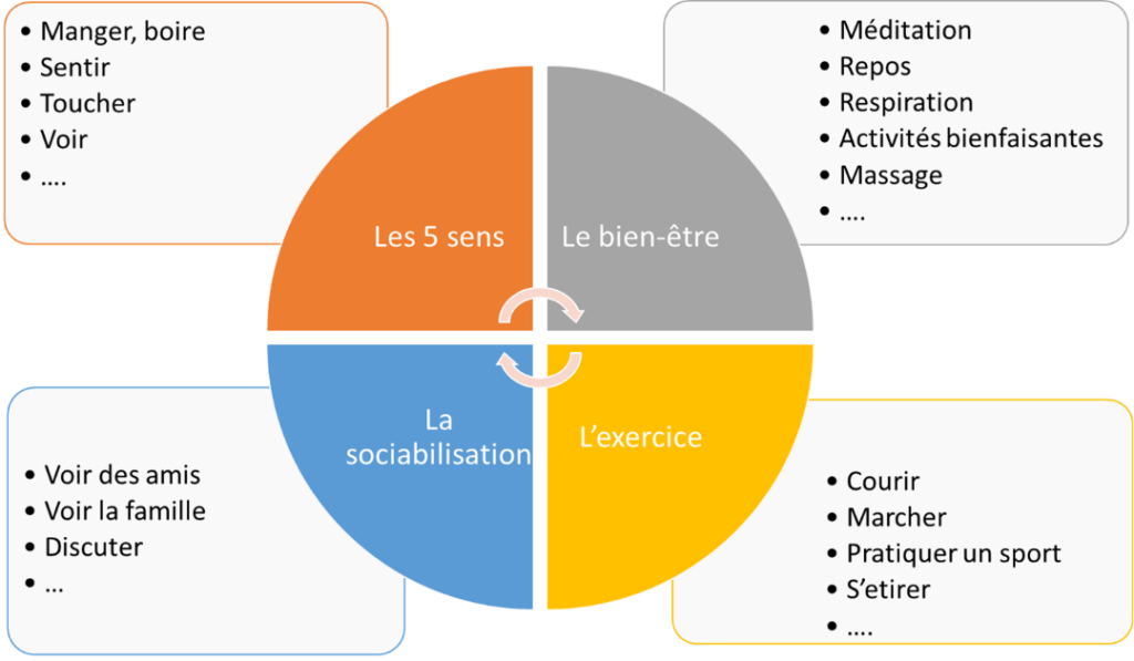 cecile-norino-article (3)