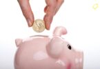 zapptax-application-detaxe-economies-tva-achats-france-2025