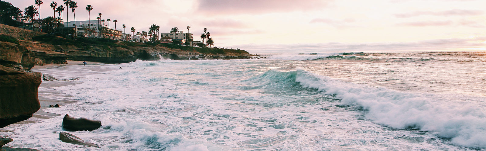 san-diego-artcicle-cdp