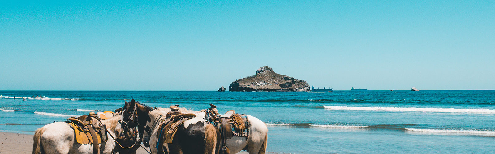ballade-cheval-miami-floride