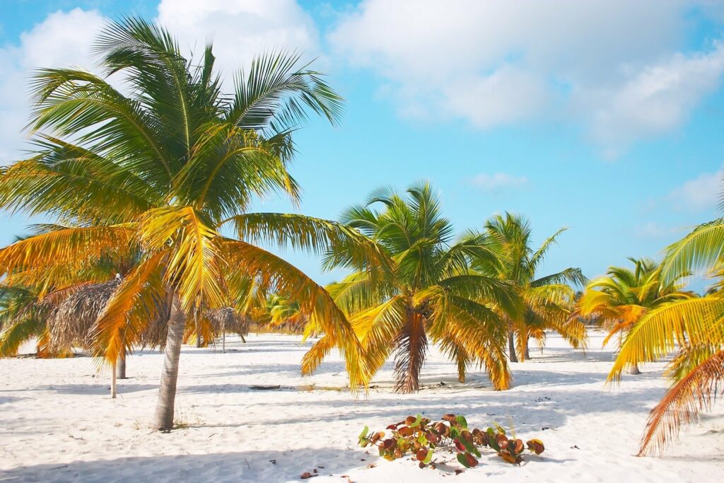 La plage de Sirena à Cayo Largo, Cuba