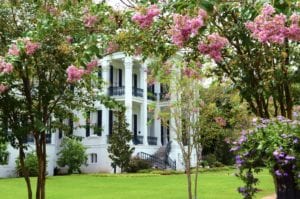 escapade-la-nouvelle-orleans-visite-plantation-nottoway