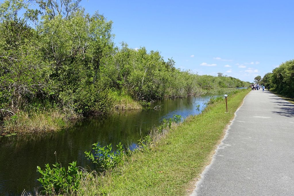 shark-valley-floride-article