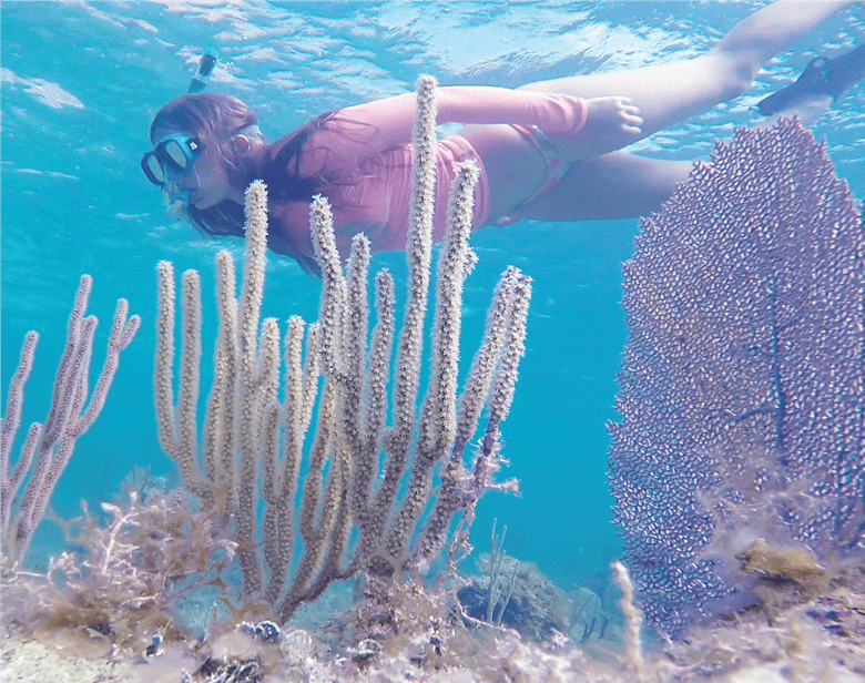 kiskeedee-croisiere-voilier-abacos-bahamas-plongee-masque-tuba
