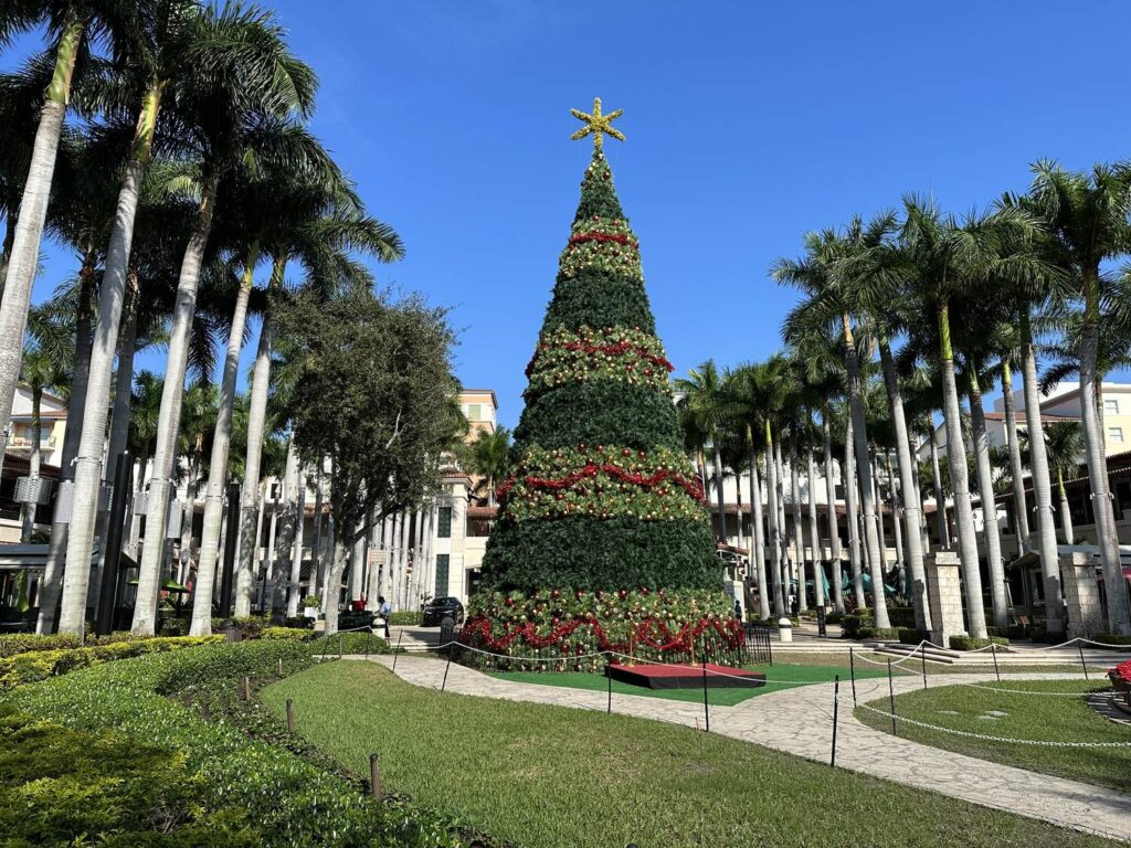 Grand sapin de Noël décoré de guirlandes rouges et d'une étoile dorée, au milieu d'une pelouse entourée de palmiers royaux et de galeries commerçantes
