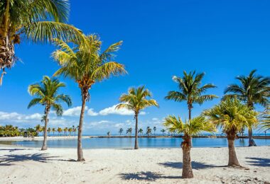 Petite pause à la plage de Matheson Hammock Marina