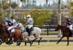 Six joueurs de polo au galop, maillets levés, sur un terrain de Wellington en Floride, devant des palmiers et des clôtures noires