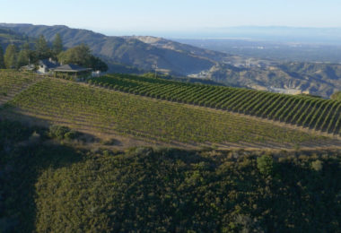 La Route des vins de Floride