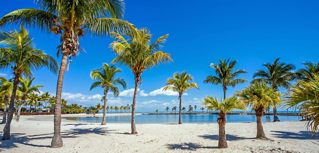 journee-coral-gables-floride-matheson-hammock