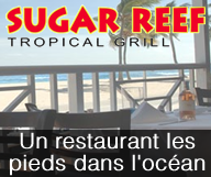 SUGAR REEF Tropical Grill