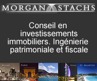 Morgan Stachs International Properties