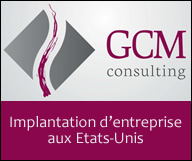 GCM Consulting