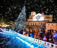 Mon Beau Sapin à Boca Raton
