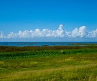 Les plus belles balades au bord du lac Okeechobee