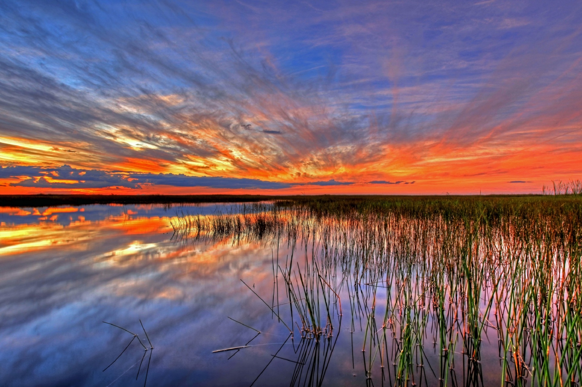 Une nuit au cœur des Everglades