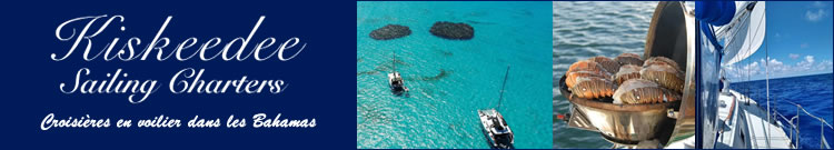 Kiskeedee Sailing Charters | Croisière en voilier