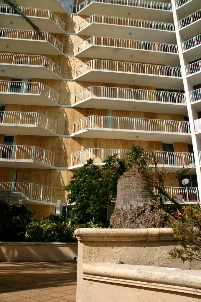 Au pied du Grand View Palace, un palmier arraché (après l'ouragan Wilma, octobre 2005)