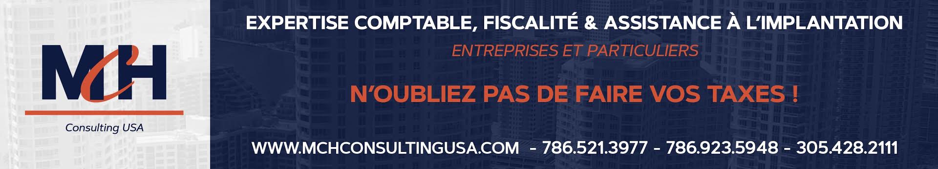 MCH Consulting USA – Monique Herzstein