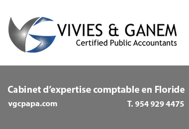 VIVIES & GANEM, C.P.A. P.A.