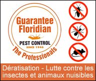 Comment débarrasser votre maison de tous les animaux nuisibles ?