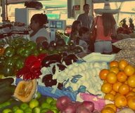 Redland's Farmers Market au sud de Miami