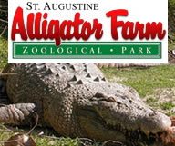 The Alligator Farm, le Royaume des crocos du monde entier à Saint Augustine