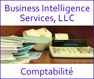 Business Intelligence Services