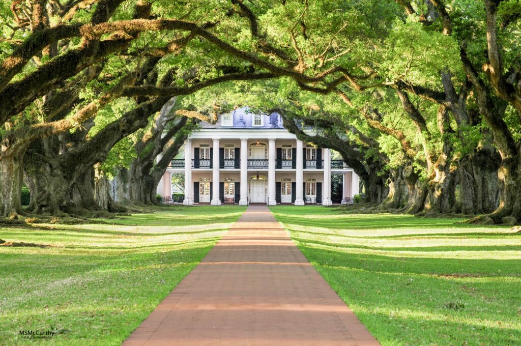 La plantation Oak Valley