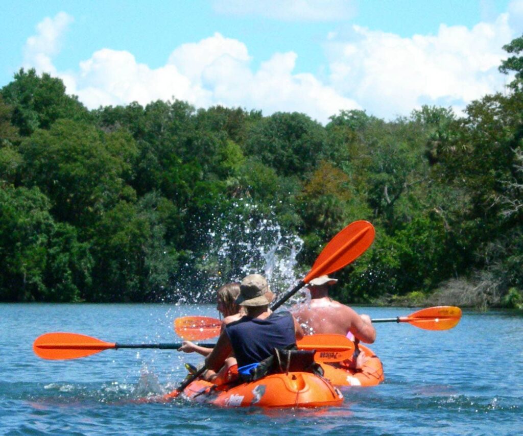Kayaks sur la rivière Chassahowitzka