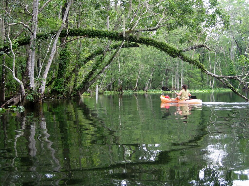 Kayak sur la rivière Silver River