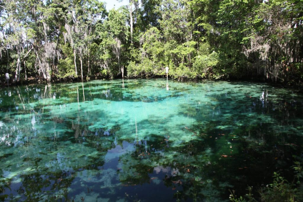 Three Sisters Springs sur la rivière Crystal River