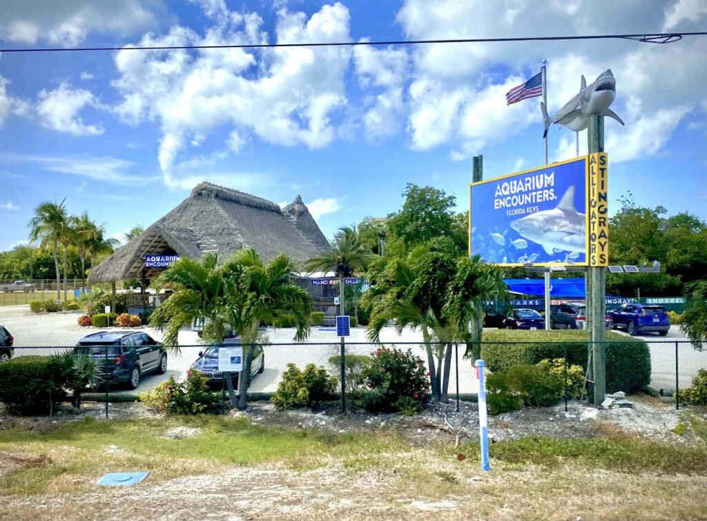 journee-marathon-centre-animaux-marins-peche-poissons-plongee-aquarium-encounters