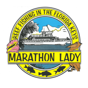 journee-marathon-centre-animaux-marins-peche-poissons-plongee-snorkeling-marathon-lady