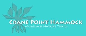 journee-marathon-centre-animaux-marins-peche-poissons-plongee-snorkelingcrane-point
