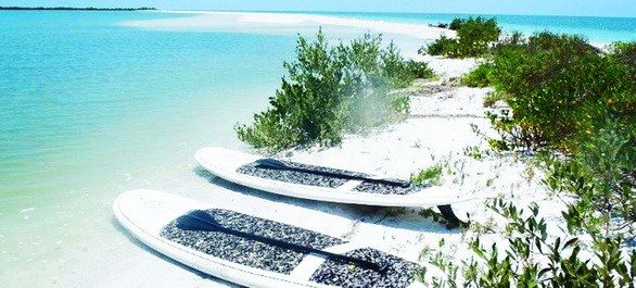 Top 5 des plages autour de Tampa