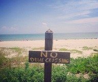 Tout ce qui brille pour Solène en Floride