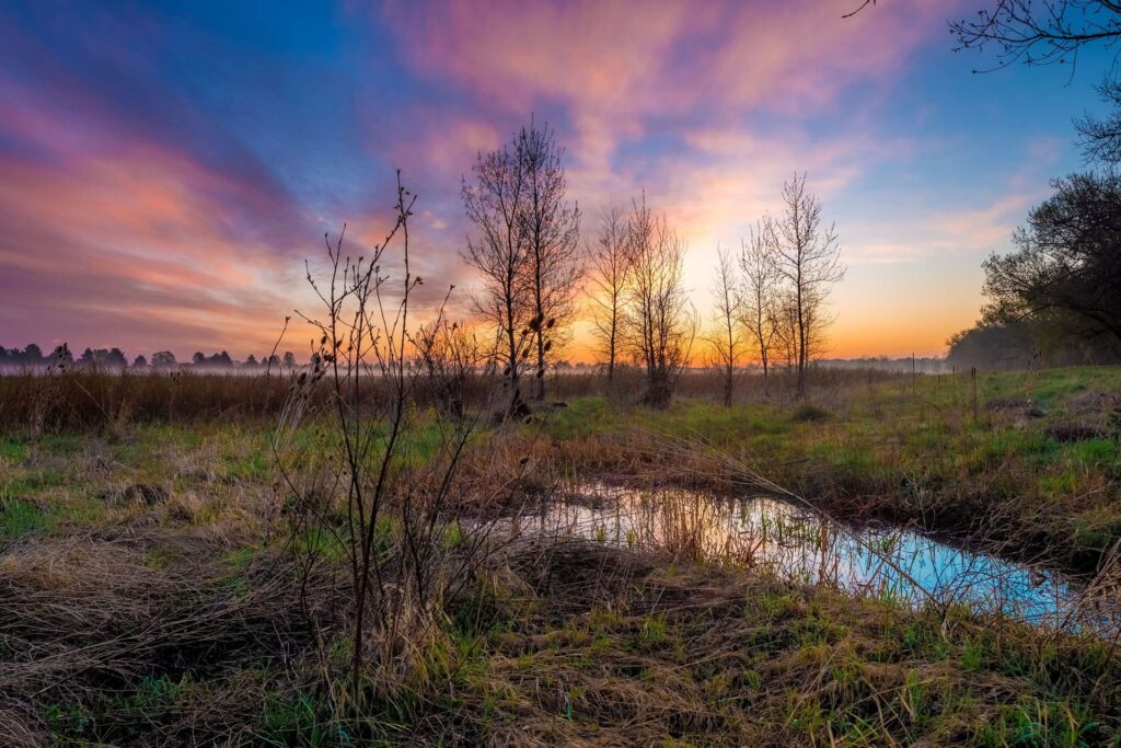 lac-jesup-wilderness-area-orlando-floride