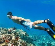 3 moyens de visiter la Floride moins cher 