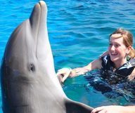 Avez-vous déjà nagé avec des dauphins ?