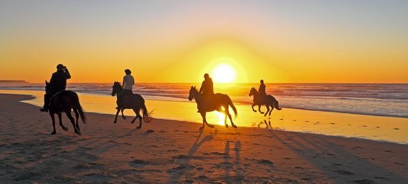Faire du cheval sur la plage en Floride