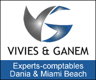 VIVIES & GANEM, C.P.A. P.A.