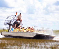 Frissons, glisse et alligators… 