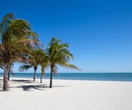 Une case sur la plus belle plage de Key Biscayne
