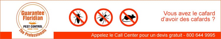 Guarantee Floridian Pest Control - dératisation et de lutte contre les insectes