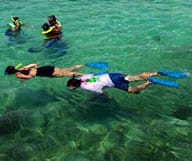 Les meilleurs spots de plongée à Key West