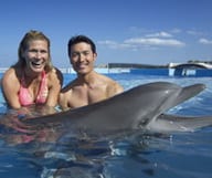 Encore plus près de Flipper au Dolphin Conservation Center de St Augustine   