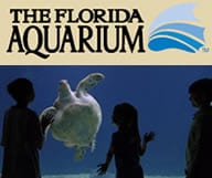 The Florida Aquarium, LE théâtre des merveilles du monde marin à Tampa