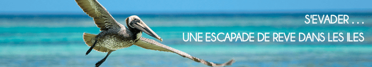 Visiter la Guadeloupe